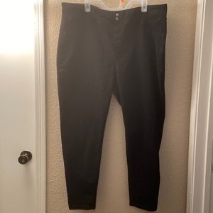 Fairly worn Terra Sky Black Pants, stretchy, Size 2x